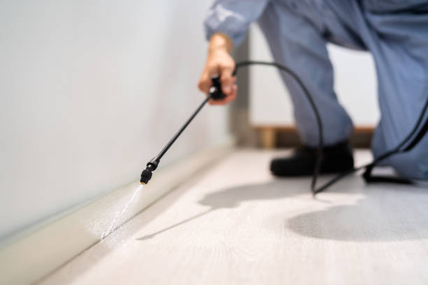 Licensed Mosquito Control service in Grant Park, IL - Show Me Pest Control