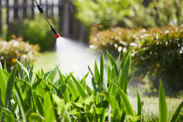 24/7 Emergency Mosquito Control experts in Grant Park, IL