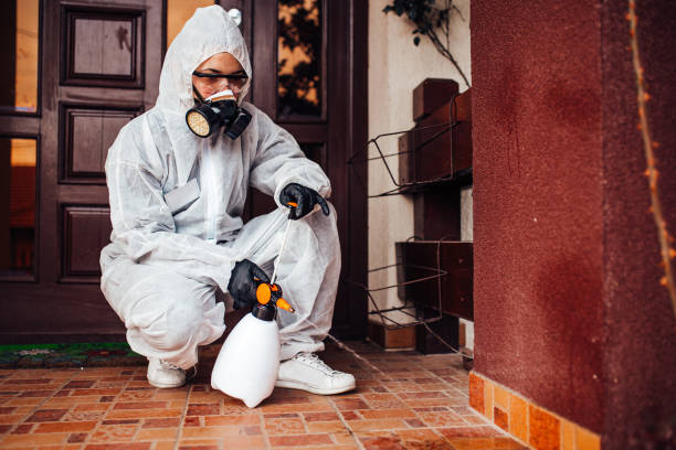 Reliable Mosquito Control contractor in Grant Park, IL by Show Me Pest Control