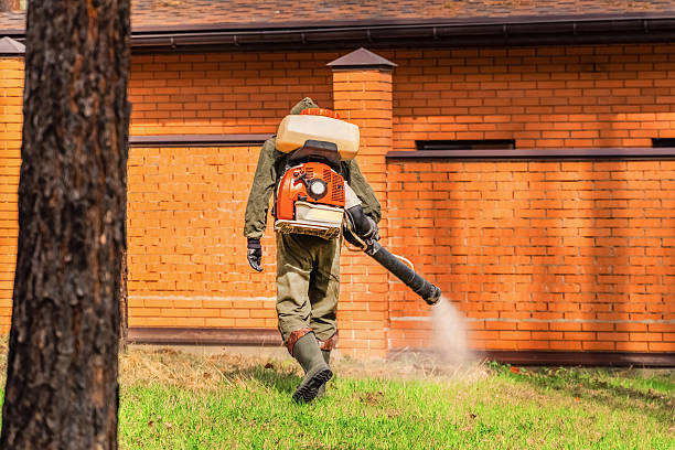 Top rated local Mosquito Control specialists in Grant Park, IL